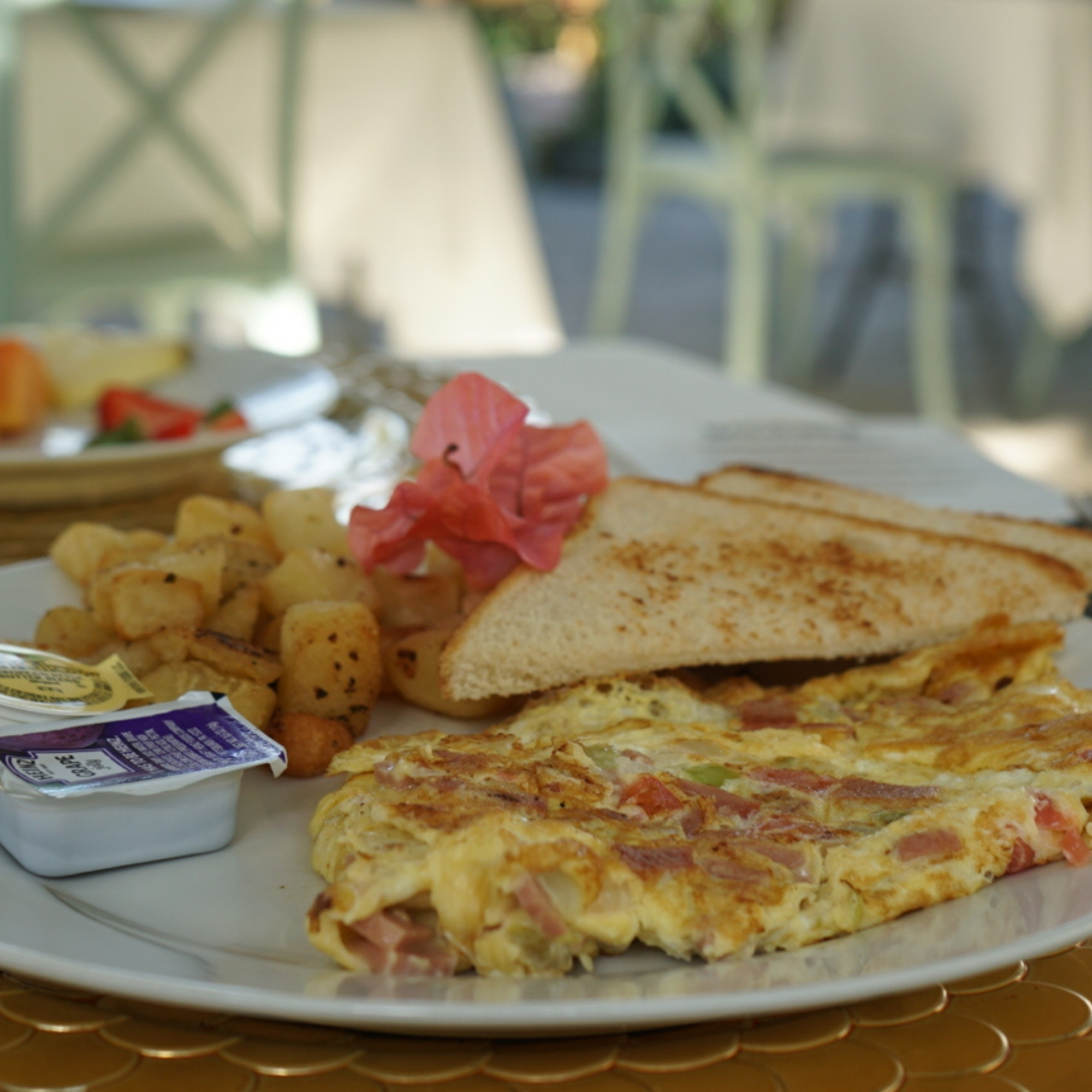 Diseño sin título - 2026-02-04T111438.607